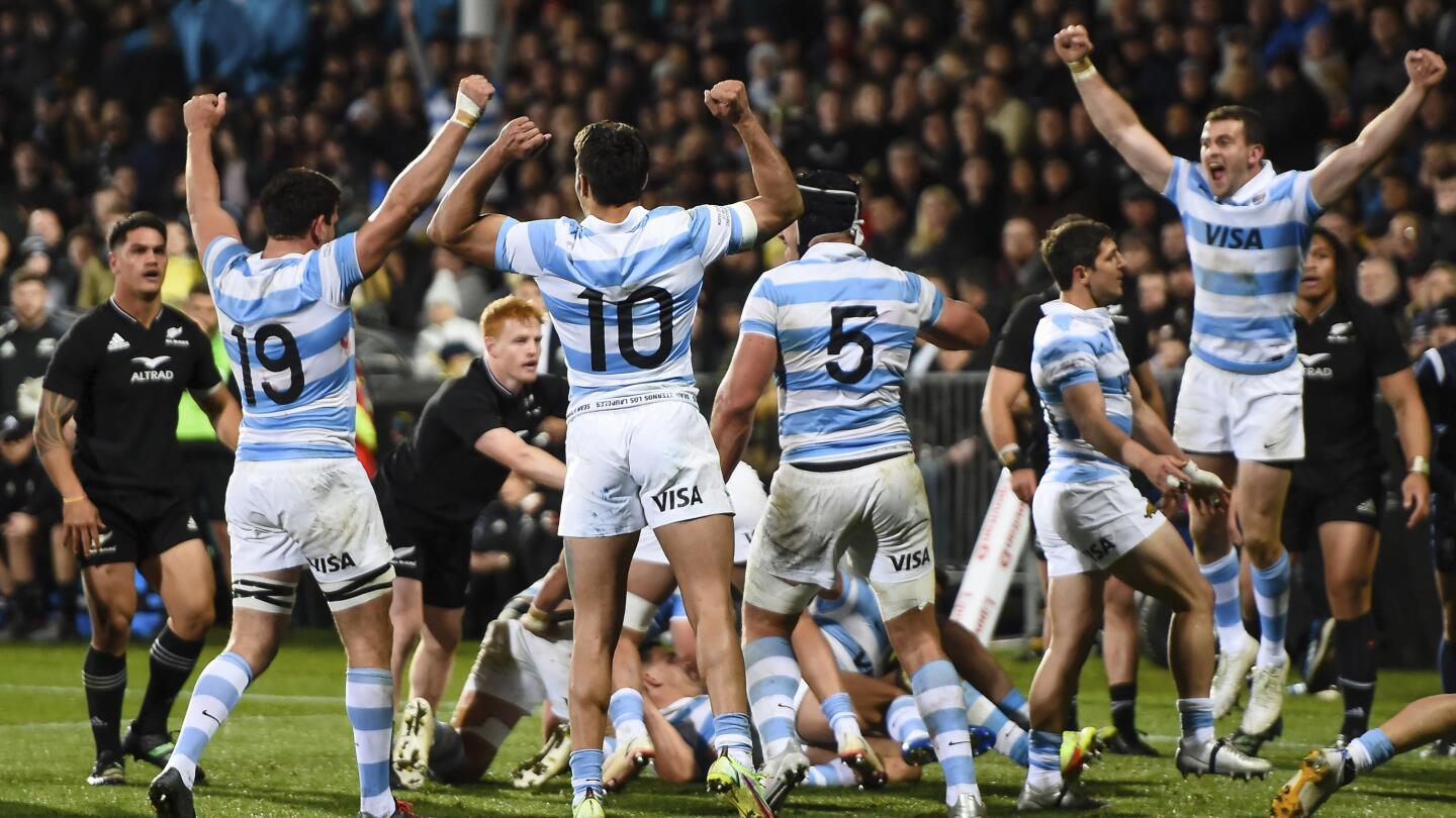 Pumas rugby 2019 sales